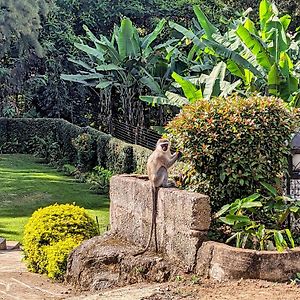 Mvuli Hotels Arusha